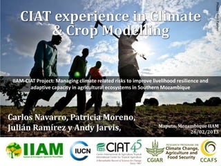 Photo - Neil Palmer
 IIAM-CIAT Project: Managing climate related risks to improve livelihood resilience and
        adaptive capacity in agricultural ecosystems in Southern Mozambique




Carlos Navarro, Patricia Moreno,
Julián Ramírez y Andy Jarvis,                                    Maputo, Mozambique IIAM
                                                                             26/02/2013
 