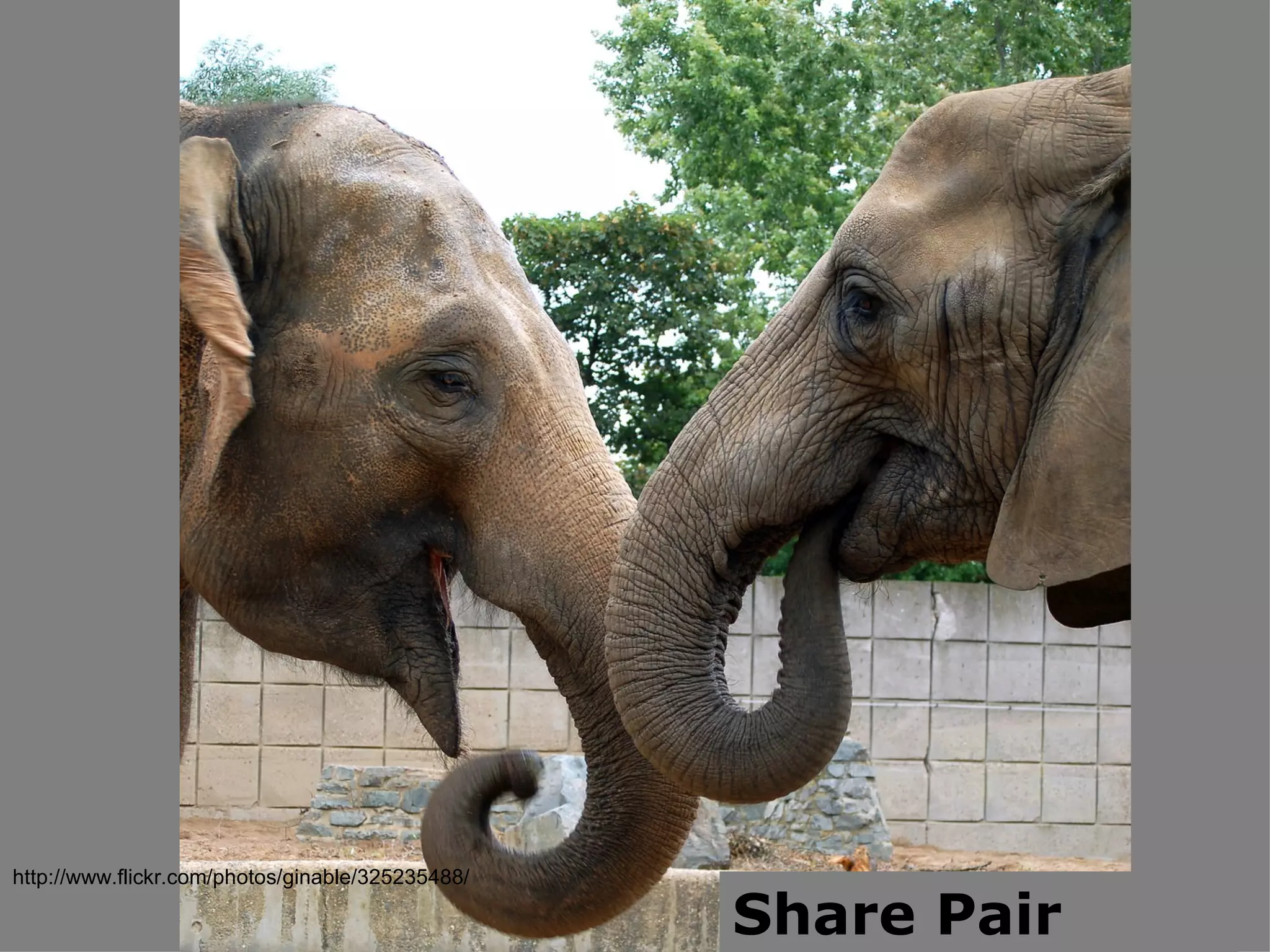 Share Pair http://www.flickr.com/photos/ginable/325235488/ 
