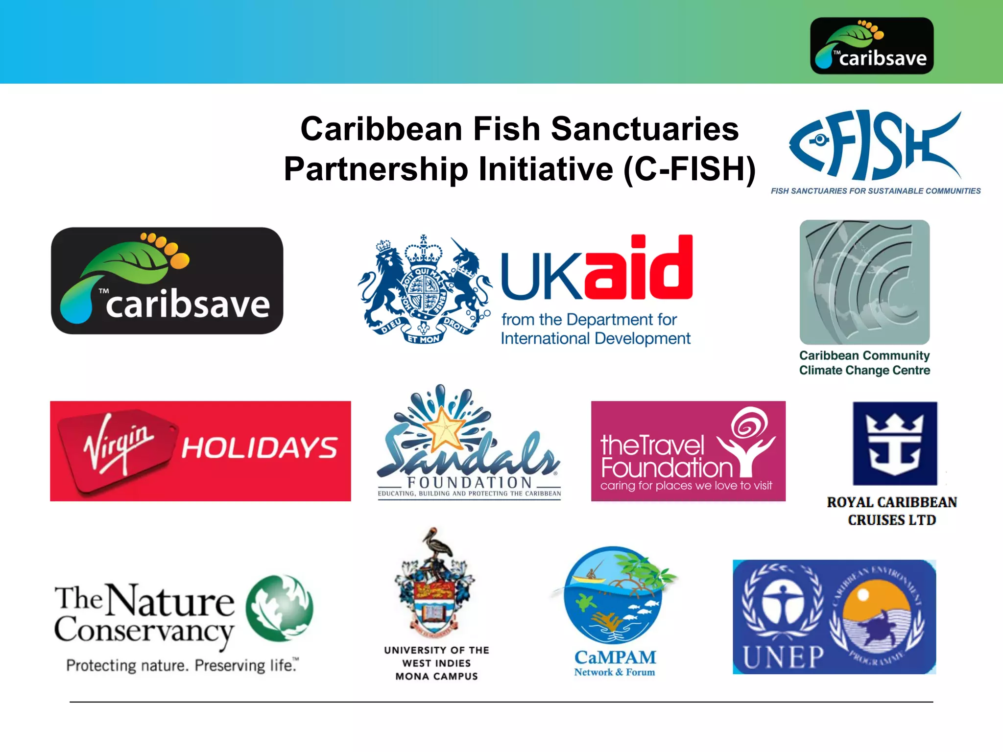 Fish Iniciative Caribbean Fish Sanctuaries Initiative (C-fish) | PDF | Zoos & Aquariums ...