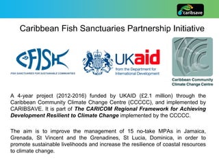 Fish Iniciative Caribbean Fish Sanctuaries Initiative (C-fish) | PDF