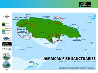 Fish Iniciative Caribbean Fish Sanctuaries Initiative (C-fish) | PDF