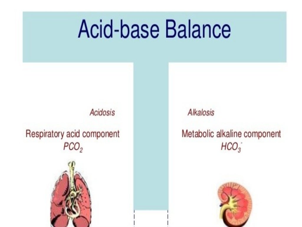 Acid base balance day 2