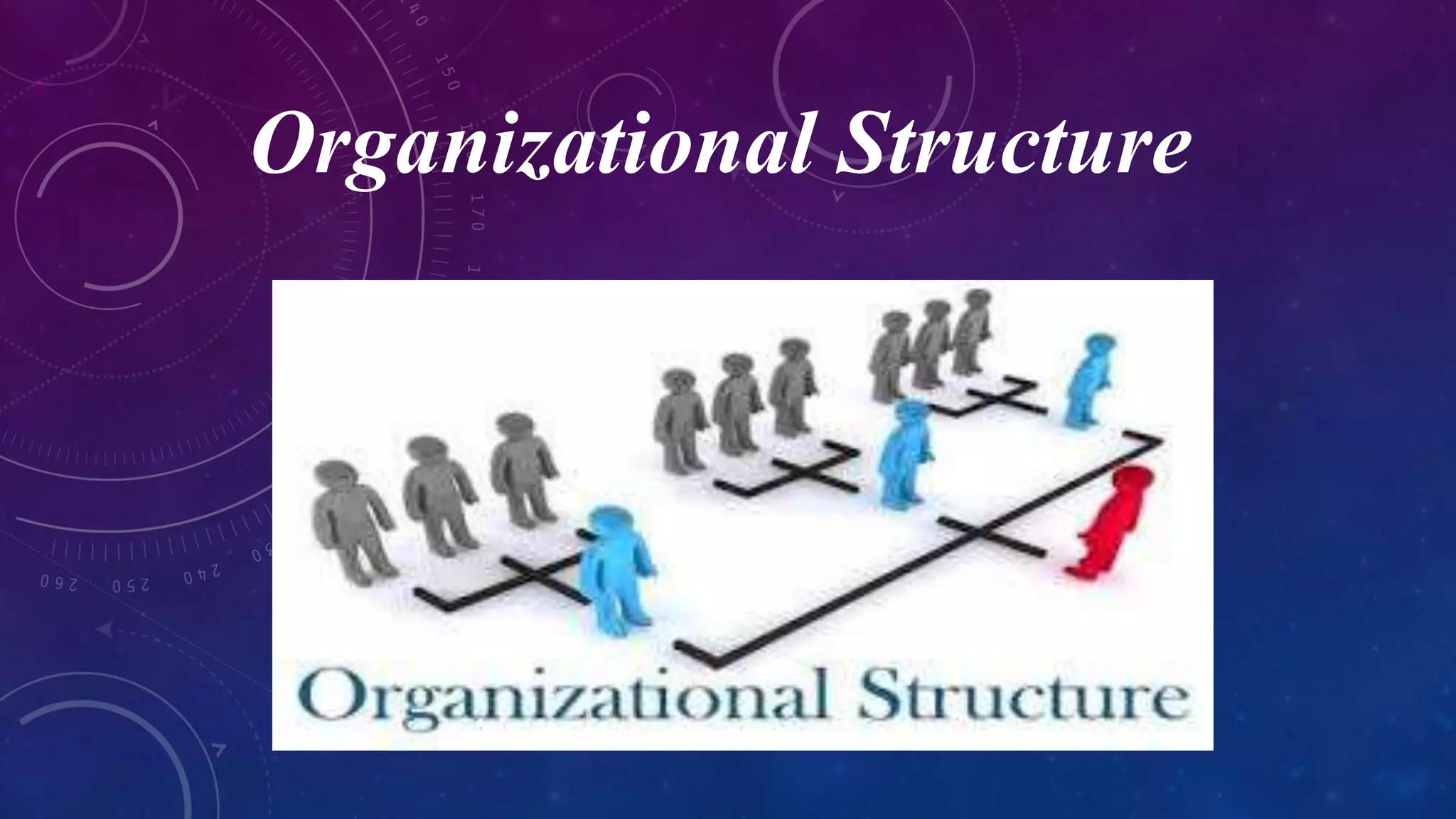 Organizational Structure
 