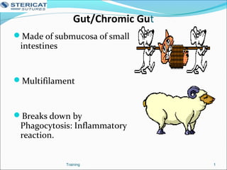 Gut/Chromic Gut
Made of submucosa of small
intestines
Multifilament
Breaks down by
Phagocytosis: Inflammatory
reaction.
1Training
 