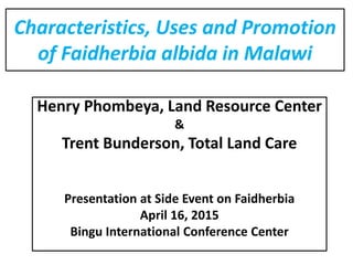 Characteristics, Uses and Promotion
of Faidherbia albida in Malawi
Henry Phombeya, Land Resource Center
&
Trent Bunderson, Total Land Care
Presentation at Side Event on Faidherbia
April 16, 2015
Bingu International Conference Center
 