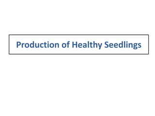 Production of Healthy Seedlings
 