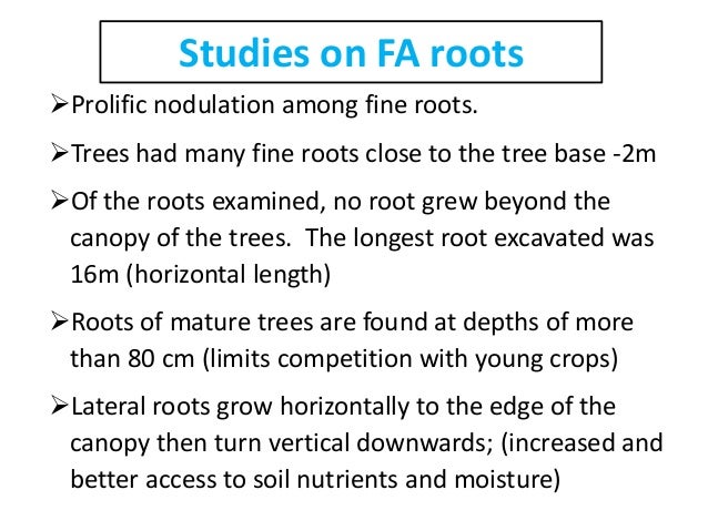study on faidherbia albida root extract Faidherbia albida faidherbia albida (syn acacia albida delile) is a species of faidherbia native the bark is employed in dental hygiene and its extract is. study on faidherbia albida root extract Faidherbia albida faidherbia albida (syn acacia albida delile) is a species of faidherbia native the bark is employed in dental hygiene and its extract is.
