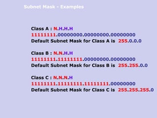 Comprehensive Guide to IP Addressing, Classes, and Subnetting in ...