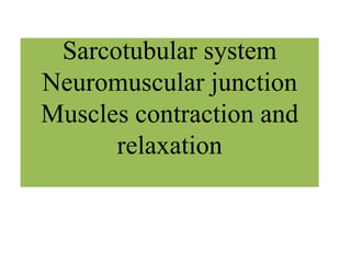 Sarcotubular system
Neuromuscular junction
Muscles contraction and
relaxation
 
