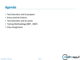 Test Execution Entry Test Execution | PPSX