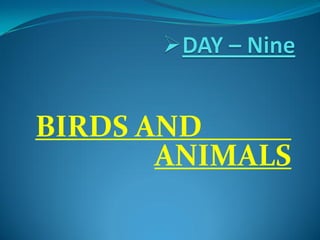 BIRDS AND
ANIMALS
 
