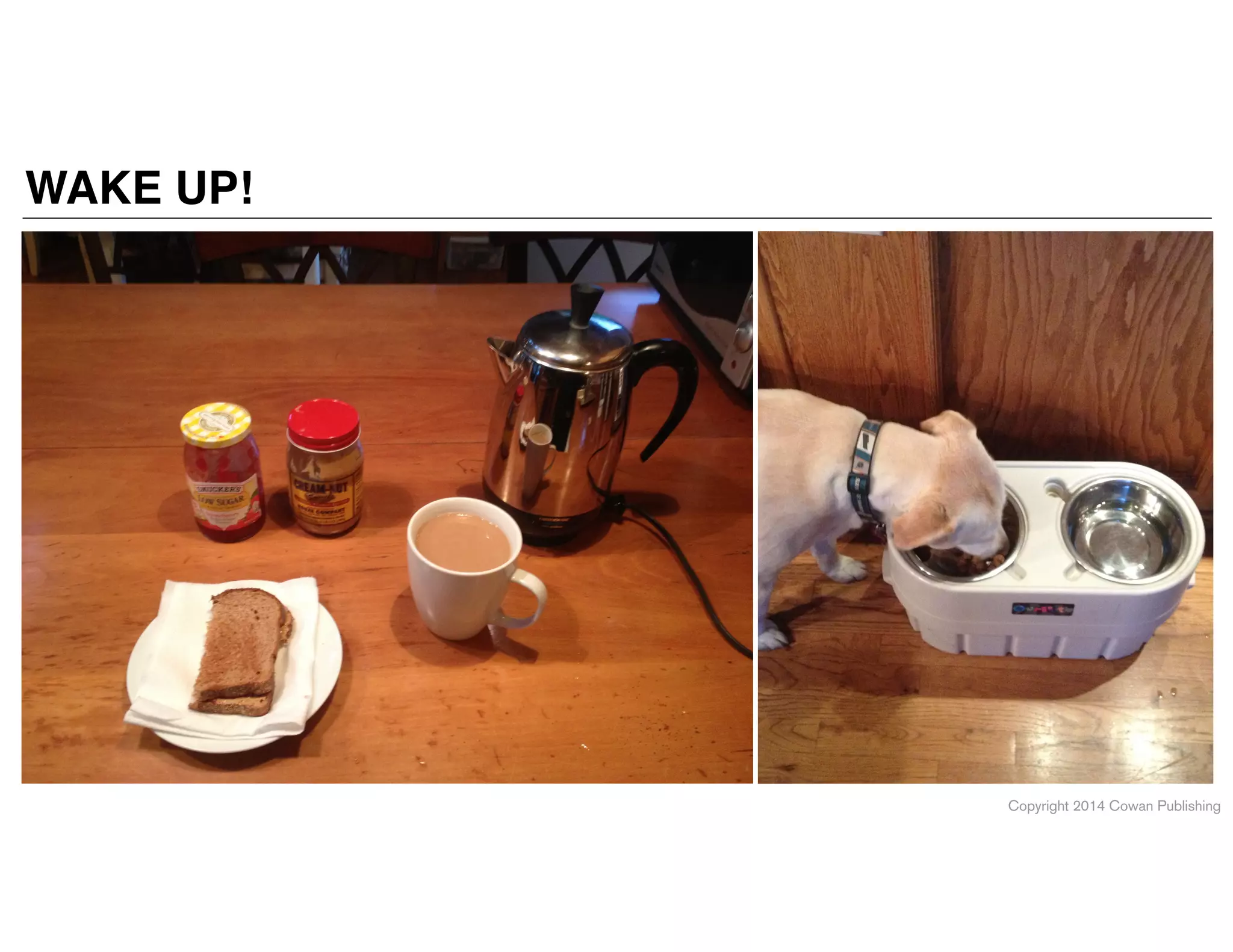 Copyright 2014 Cowan Publishing
WAKE UP!