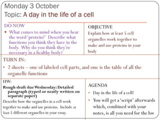 Monday 3 October
Topic: A day in the life of a cell
DO NOW                                          OBJECTIVE
 What comes to mind when you hear              Explain how at least 5 cell
  the word ‘protein?’ Describe what             organelles work together to
  functions you think they have in the
  body. Why do you think they’re                make and use proteins in your
  necessary in a healthy body?                  body
TURN IN:
• 2 sheets – one of labeled cell parts, and one is the table of all the
  organelle functions
HW:
Rough draft due Wednesday: Detailed             AGENDA
    paragraph (typed or neatly written on       • Day in the life of a cell!
    separate paper)
Describe how the organelles in a cell work      • You will get a ‘script’ afterwards
together to make and use proteins. Include at     which, combined with your
least 5 different organelles in your essay.       notes, is all you need for the hw
 