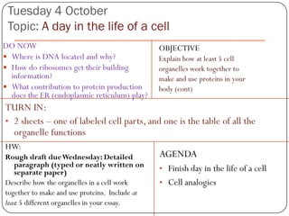 Tuesday 4 October
 Topic: A day in the life of a cell
DO NOW                                          OBJECTIVE
 Where is DNA located and why?                 Explain how at least 5 cell
 How do ribosomes get their building           organelles work together to
  information?                                  make and use proteins in your
 What contribution to protein production       body (cont)
  does the ER (endoplasmic reticulum) play?
TURN IN:
• 2 sheets – one of labeled cell parts, and one is the table of all the
  organelle functions
HW:
Rough draft due Wednesday: Detailed             AGENDA
    paragraph (typed or neatly written on       • Finish day in the life of a cell
    separate paper)
Describe how the organelles in a cell work      • Cell analogies
together to make and use proteins. Include at
least 5 different organelles in your essay.
 