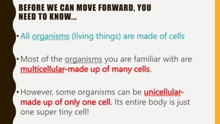 BEFORE WE CAN MOVE FORWARD, YOU
NEED TO KNOW...
•All organisms (living things) are made of cells
•Most of the organisms you are familiar with are
multicellular-made up of many cells.
•However, some organisms can be unicellular-
made up of only one cell. Its entire body is just
one super tiny cell!
 