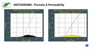 Histograms Definition for each Reservoir Subzone and per RRT
HISTOGRAMS - Porosity & Permeability
 