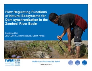 Photo:DavidBrazier/IWMIPhoto:TomvanCakenberghe/IWMIPhoto:TomvanCakenberghe/IWMI
www.iwmi.org
Water for a food-secure world
Xueliang Cai
29/04/2014, Johannesburg, South Africa
Flow Regulating Functions
of Natural Ecosystems for
Dam synchronization in the
Zambezi River Basin
 