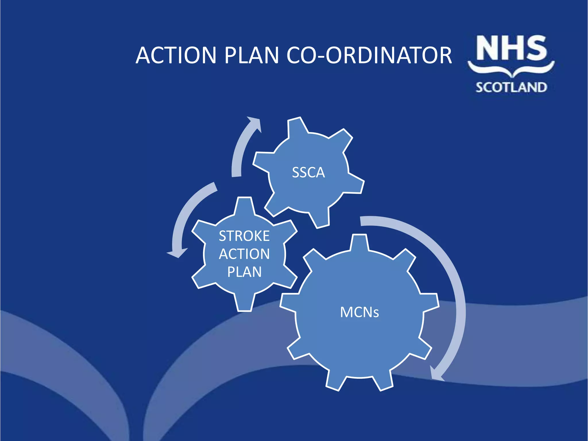 ACTION PLAN CO-ORDINATOR



               SSCA


      STROKE
      ACTION
       PLAN

                      MCNs
 