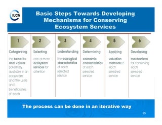 25
Basic Steps Towards Developing
Mechanisms for Conserving
Ecosystem Services
The process can be done in an iterative way
 