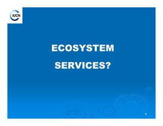 4
ECOSYSTEM
SERVICES?
 
