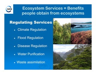 7
Ecosystem Services = Benefits
people obtain from ecosystems
Regulating Services
Climate Regulation
Flood Regulation
Disease Regulation
Water Purification
Waste assimilation
 