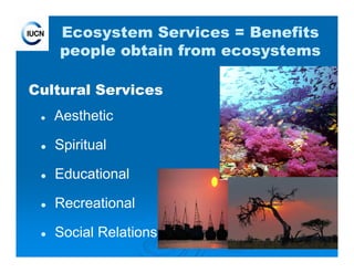 8
Ecosystem Services = Benefits
people obtain from ecosystems
Cultural Services
Aesthetic
Spiritual
Educational
Recreational
Social Relations
 