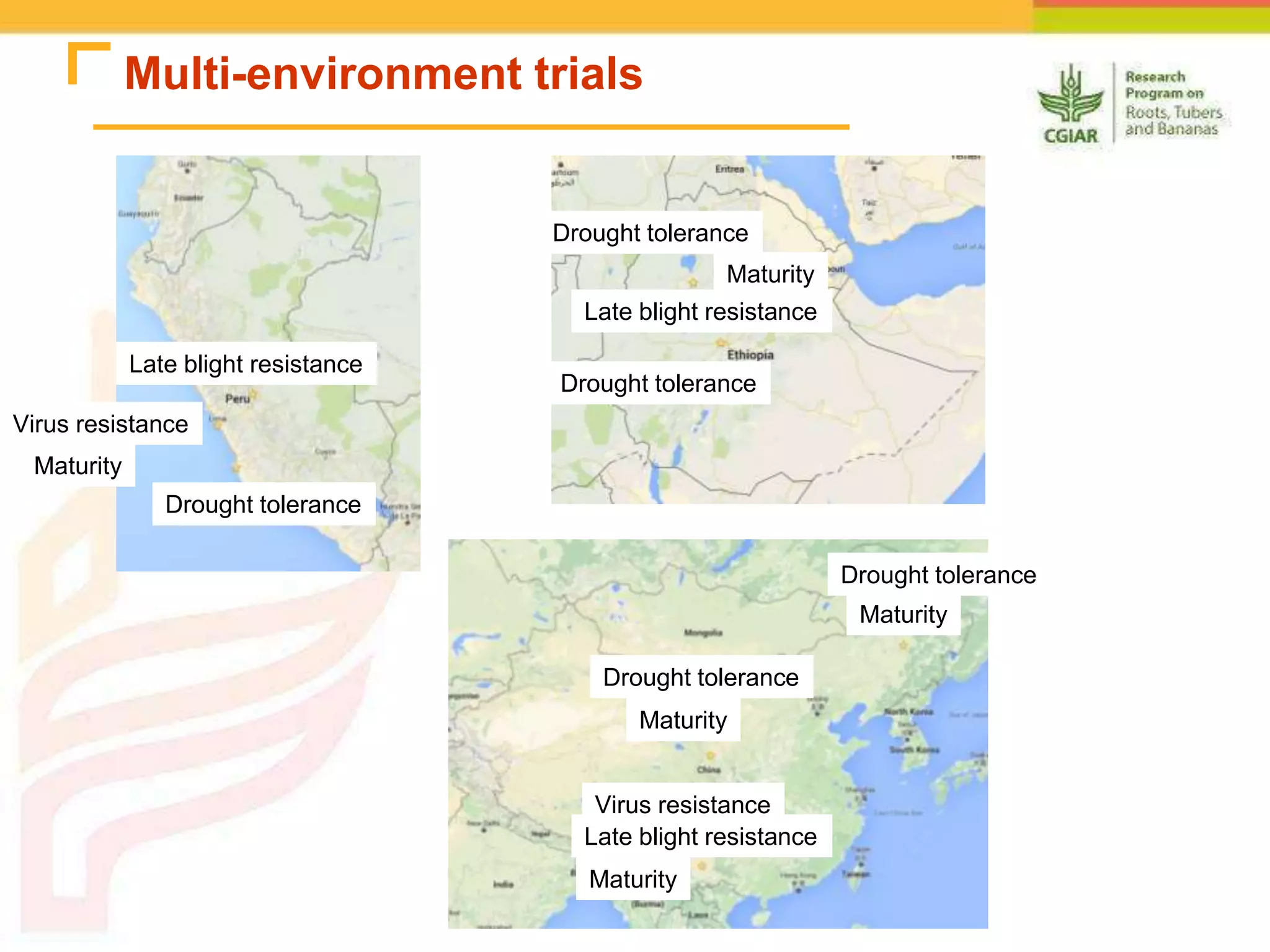 Multi-environment trials
Late blight resistance
Late blight resistance
Late blight resistance
Virus resistance
Virus resistance
Maturity
Maturity
Maturity
Maturity
Maturity
Drought tolerance
Drought tolerance
Drought tolerance
Drought tolerance
Drought tolerance
 