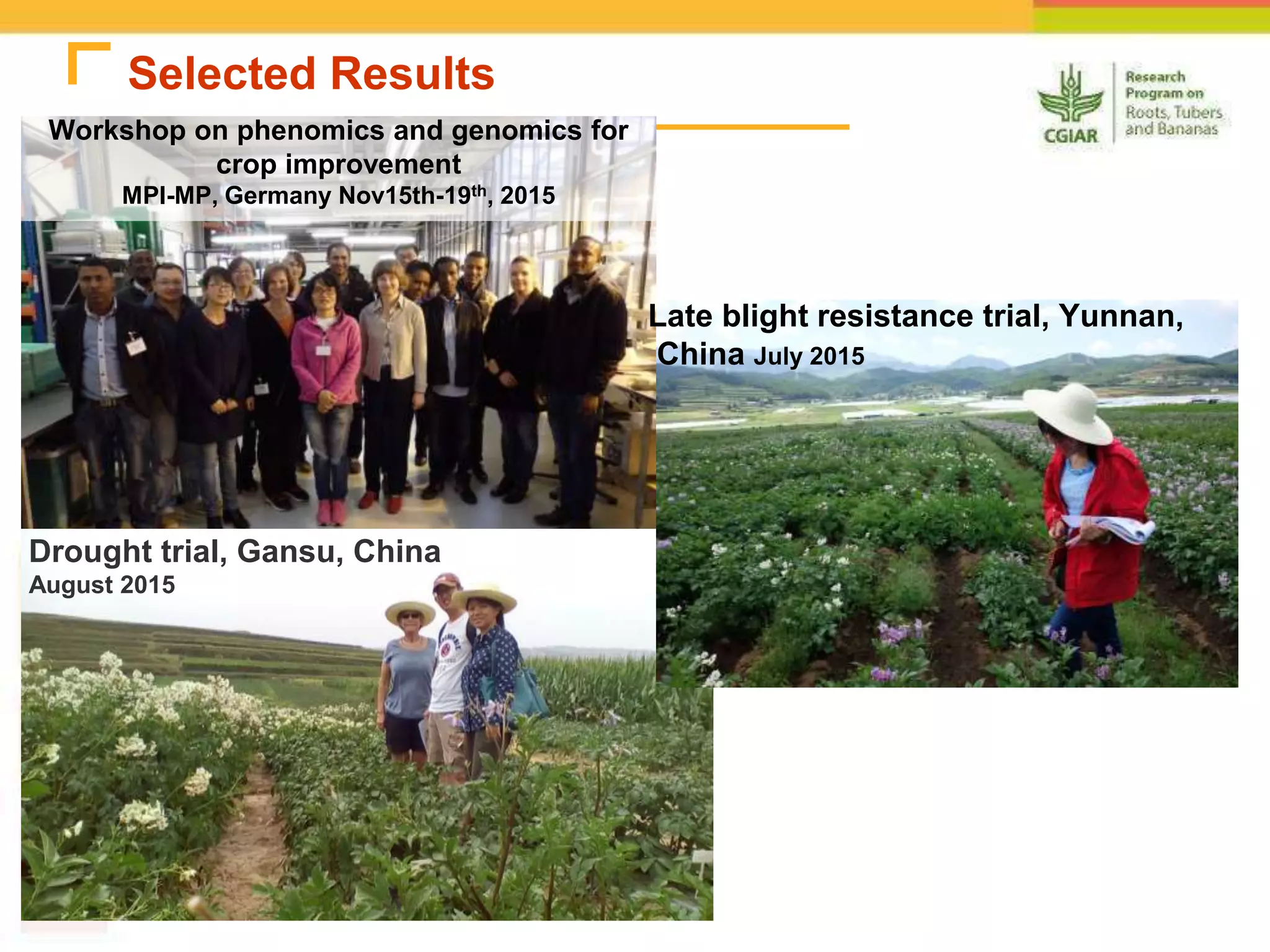 Workshop on phenomics and genomics for
crop improvement
MPI-MP, Germany Nov15th-19th, 2015
Selected Results
Drought trial, Gansu, China
August 2015
Late blight resistance trial, Yunnan,
China July 2015
 