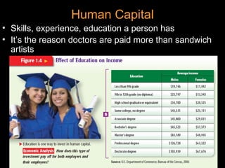 Human Capital
• Skills, experience, education a person has
• It’s the reason doctors are paid more than sandwich
artists
 