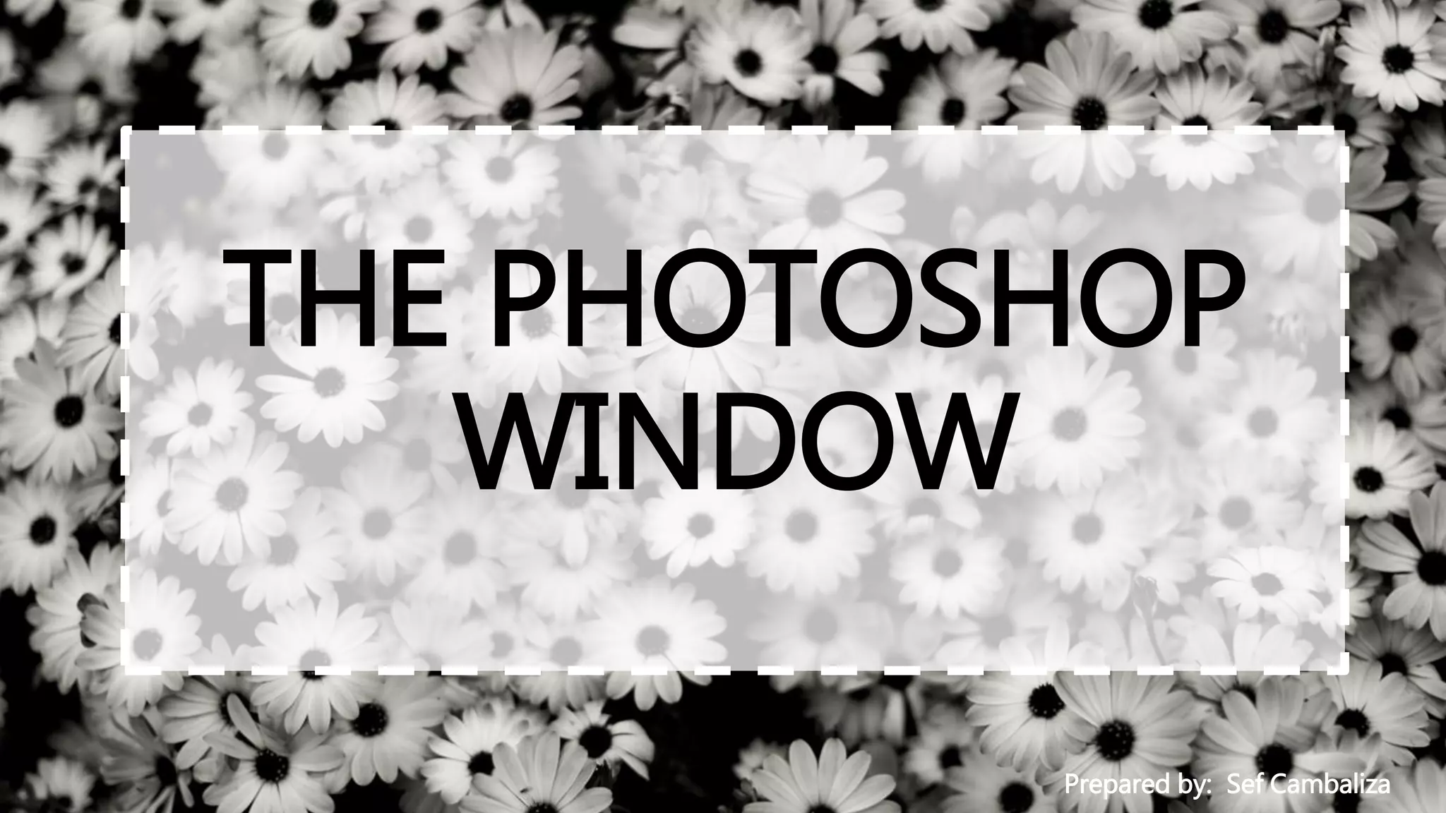 THE PHOTOSHOP
WINDOW
Prepared by: Sef Cambaliza
 