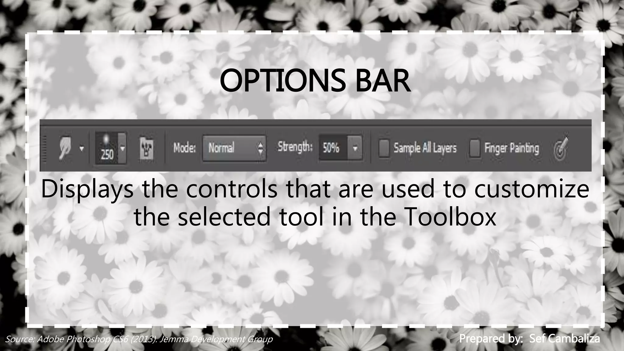 OPTIONS BAR
Displays the controls that are used to customize
the selected tool in the Toolbox
Prepared by: Sef CambalizaSource: Adobe Photoshop CS6 (2013). Jemma Development Group
 