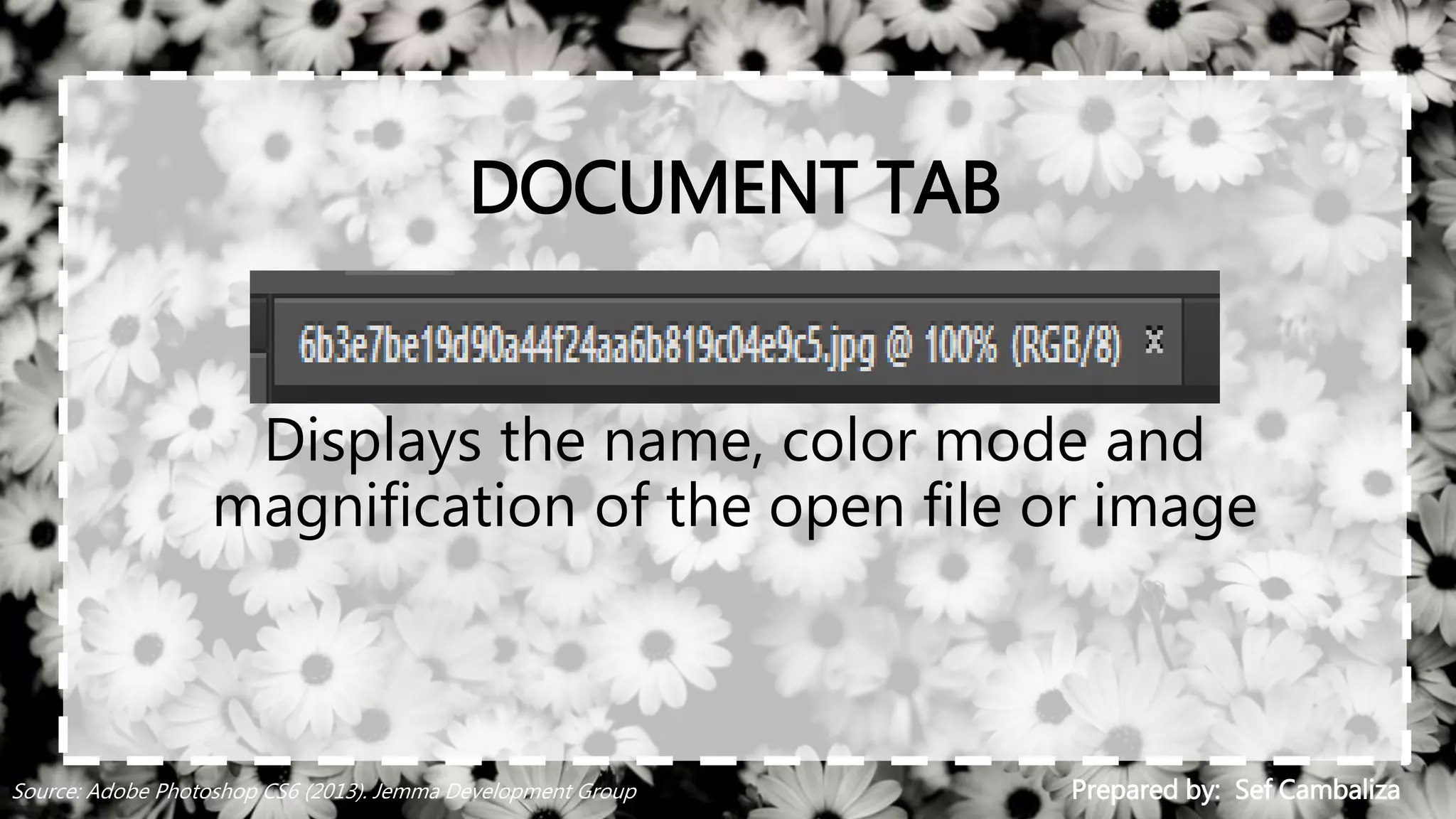 DOCUMENT TAB
Displays the name, color mode and
magnification of the open file or image
Prepared by: Sef CambalizaSource: Adobe Photoshop CS6 (2013). Jemma Development Group
 