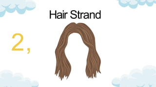 Hair Strand
 