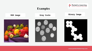 Examples
RGB image Gray Scale Binary Image
 