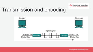 Transmission and encoding
 