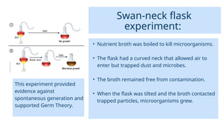 Swan-neck flask
experiment:
• Nutrient broth was boiled to kill microorganisms.
• The flask had a curved neck that allowed air to
enter but trapped dust and microbes.
• The broth remained free from contamination.
• When the flask was tilted and the broth contacted
trapped particles, microorganisms grew.
This experiment provided
evidence against
spontaneous generation and
supported Germ Theory.
 