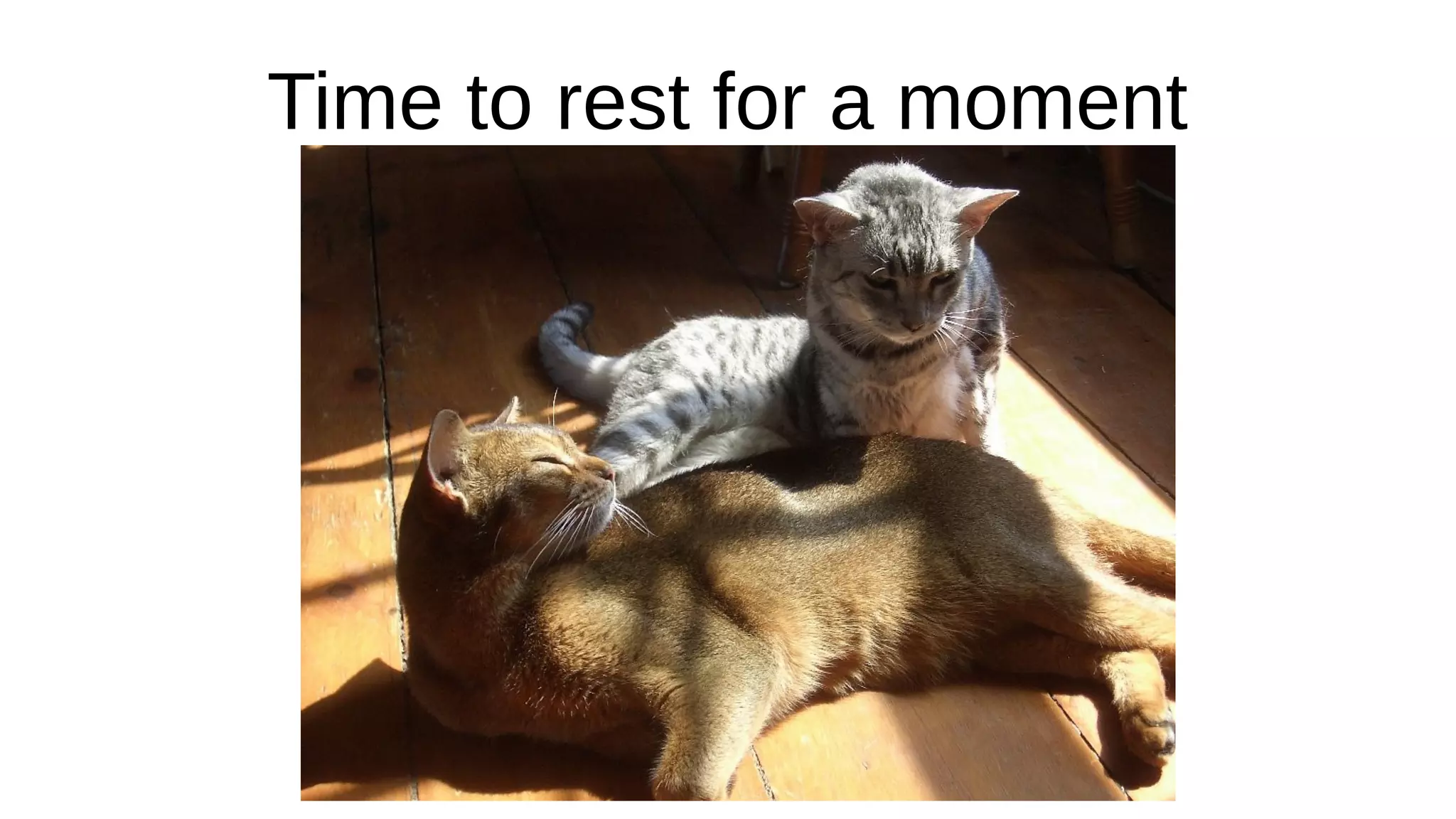 Time to rest for a moment
 