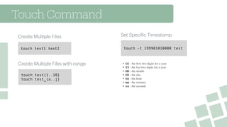 Introduction to Linux and Basic Commands | PDF