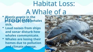 Day 1 - Science Facts - Whale. Dive into science | PPTX