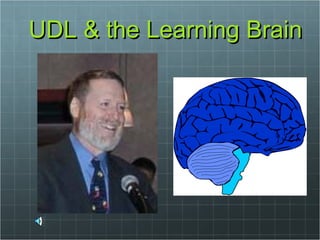 UDL & the Learning Brain 