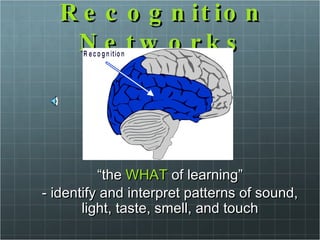 Recognition Networks “ the  WHAT  of learning” -  identify and interpret patterns of sound, light, taste, smell, and touch 