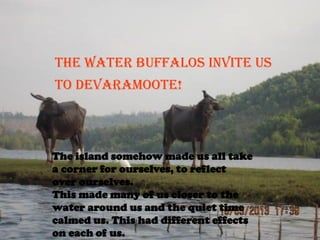 THE WATER BUFFALOS INVITE US 
TO DEVARAMooTE! 
The island somehow made us all take a corner for ourselves, to reflect over ourselves. This made many of us closer to the water around us and the quiet time calmed us. This had different effects on each of us.  