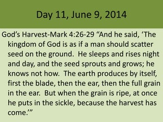Day 11, June 9, 2014
God’s Harvest-Mark 4:26-29 “And he said, ‘The
kingdom of God is as if a man should scatter
seed on the ground. He sleeps and rises night
and day, and the seed sprouts and grows; he
knows not how. The earth produces by itself,
first the blade, then the ear, then the full grain
in the ear. But when the grain is ripe, at once
he puts in the sickle, because the harvest has
come.’”
 