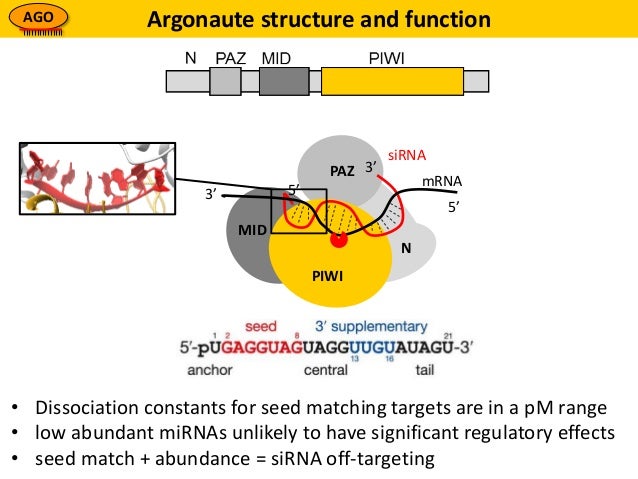 an introduction to rnai technology