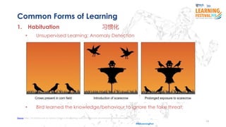 15
#ISSLearningFest
Common Forms of Learning
1. Habituation 习惯化
• Unsupervised Learning; Anomaly Detection
• Bird learned the knowledge/behaviour to ignore the fake threat;
Source https://ib.bioninja.com.au/options/option-a-neurobiology-and/a4-innate-and-learned-behav/habituation.html
 