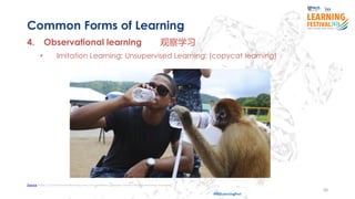 20
#ISSLearningFest
Common Forms of Learning
4. Observational learning 观察学习
• Imitation Learning; Unsupervised Learning; (copycat learning)
Source https://courses.lumenlearning.com/wsu-sandbox/chapter/observational-learning-modeling/
 