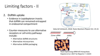 RNA interference technologies to control pests and pathogens - Steve ...