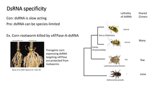RNA interference technologies to control pests and pathogens - Steve ...