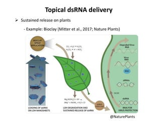 RNAi as a novel technology in pest control: current status and ...