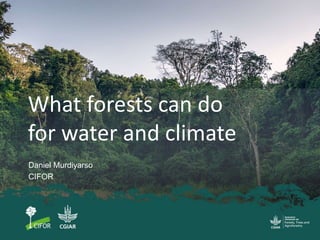 What forests can do
for water and climate
Daniel Murdiyarso
CIFOR
 